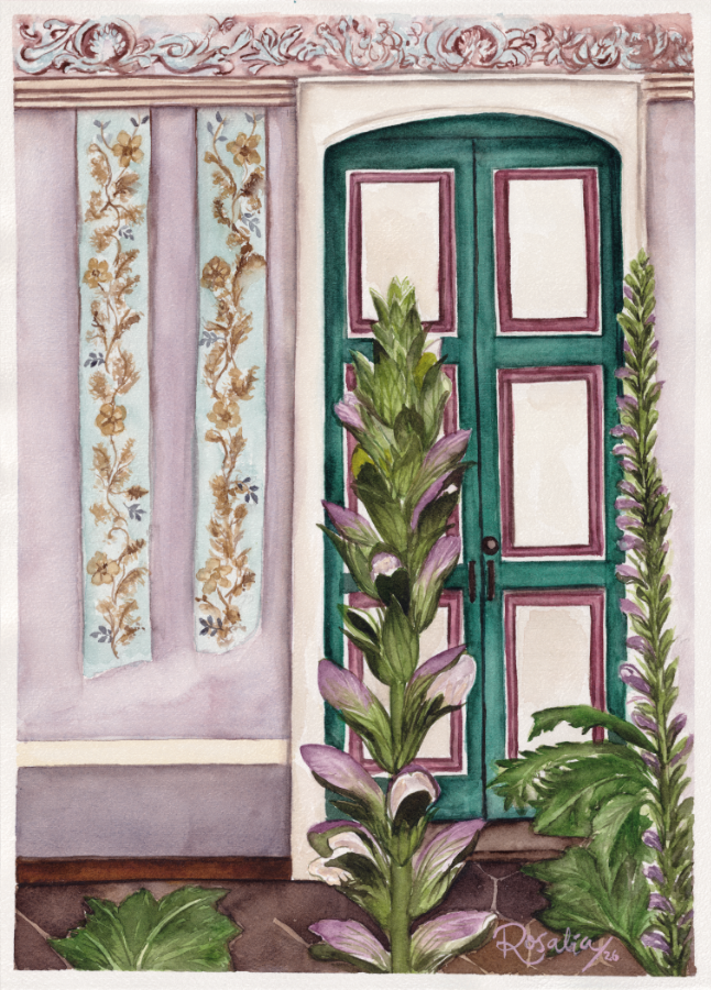 Acanthus