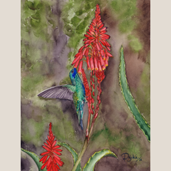 Hummingbird and Aloe Flower Giclée Print