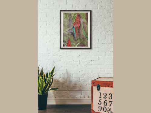 Reproducción Giclée Colibrí y flor de Aloe