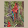 Reproducción Giclée Colibrí y flor de Aloe