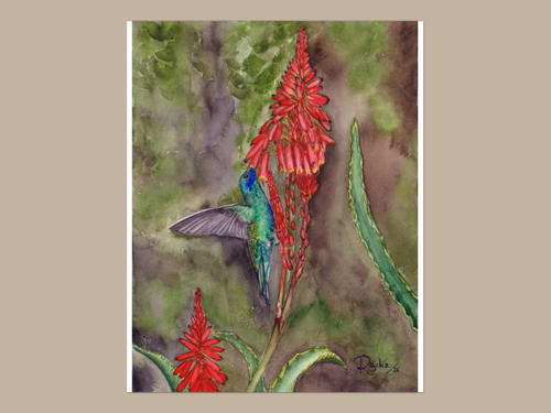 Reproducción Giclée Colibrí y flor de Aloe