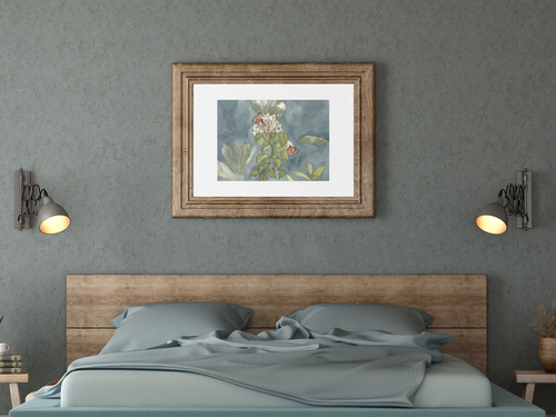 Butterflies of El Cajas Giclée Print