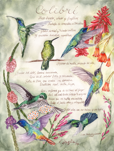 Colibri