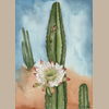 Detail view of the Desert in Bloom print. 