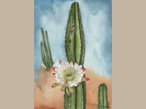 Detail view of the Desert in Bloom print. 
