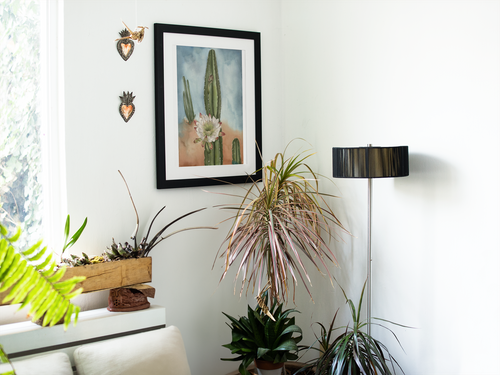 Example of the Desert in Bloom print displayed in a home.