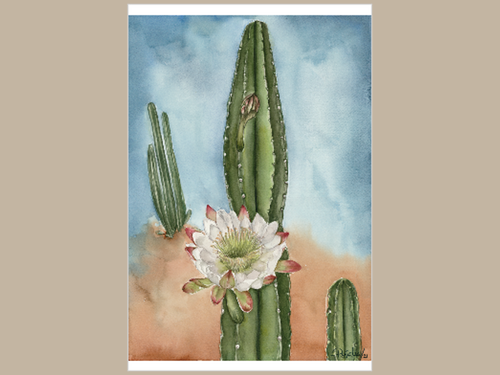 Desert in Bloom small print