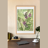 Glasswing Butterfly Giclée Print