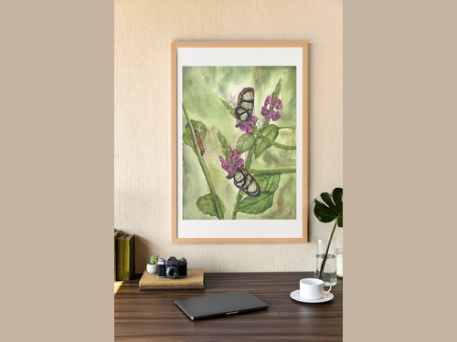 Glasswing Butterfly Giclée Print