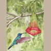 Detail view of the Hummingbird and Floripondio print. 