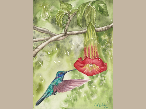 Detail view of the Hummingbird and Floripondio print. 