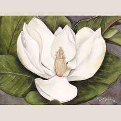 Magnolia Giclée Print