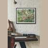 Hummingbird Moth Giclée Print