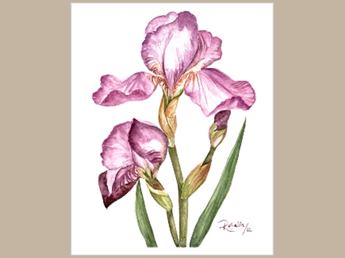 My Mother's Iris small print