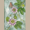 Passionflower and Butterfly Giclée Print