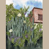 Reproducción Giclée Entre Cactus y Jacarandas