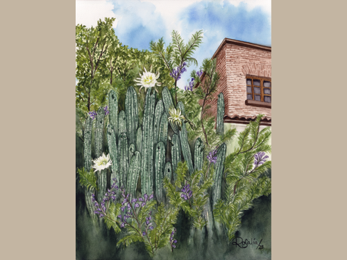 Reproducción Giclée Entre Cactus y Jacarandas
