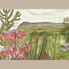 Pumpapungo Cactus Giclée Print