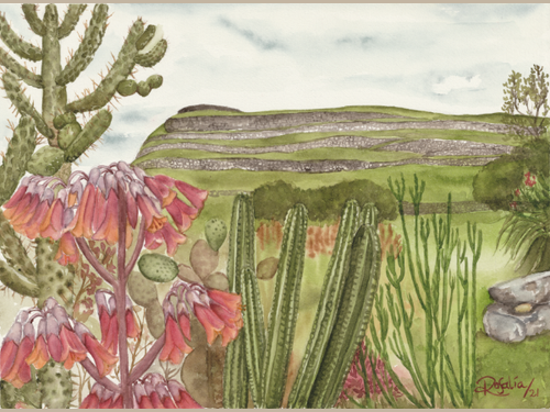 Pumpapungo Cactus Giclée Print